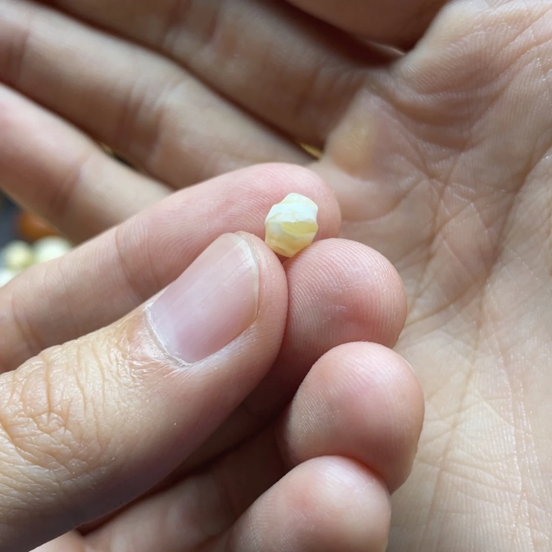 琥珀珠宝奇石未镶嵌素****子26