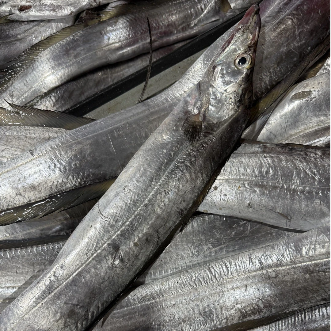 【冰瞳专属】海门本港照灯咸带鱼 大带鱼