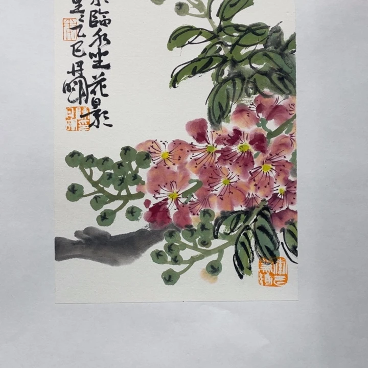 国画原创我想看这个剧