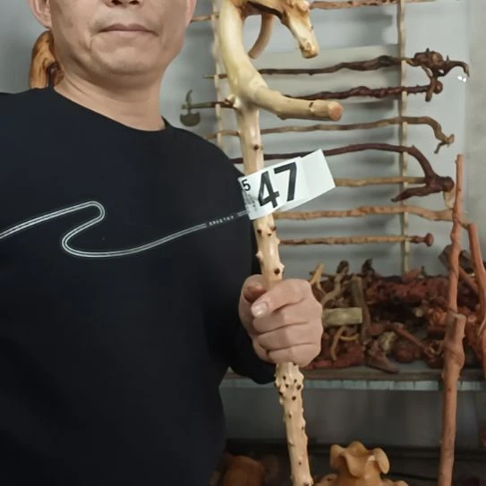 志***节香榧木高山 檬子木文玩料