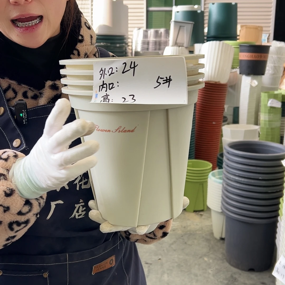 青山盆5#米白10个无托