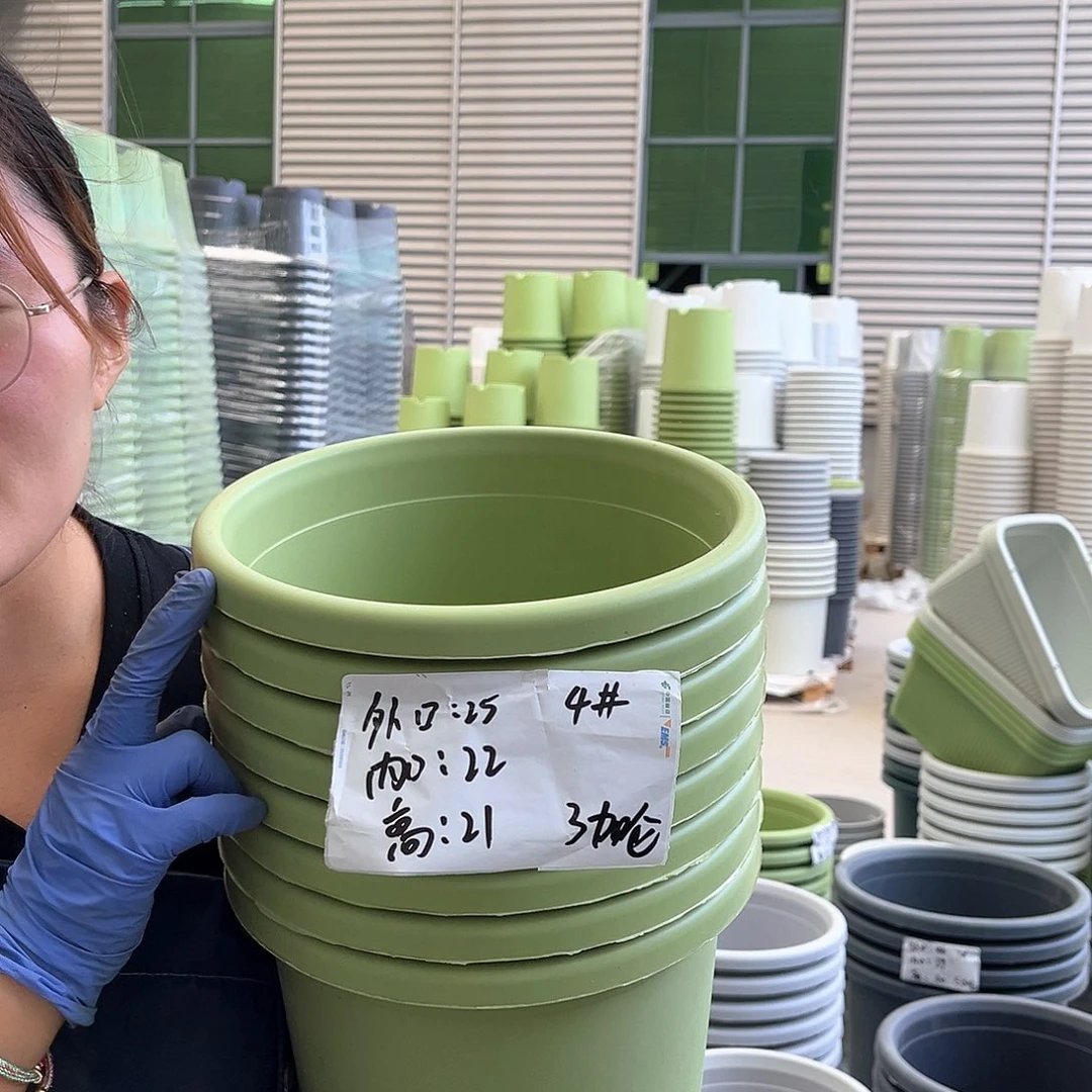 四季盆4#果绿色8个无托