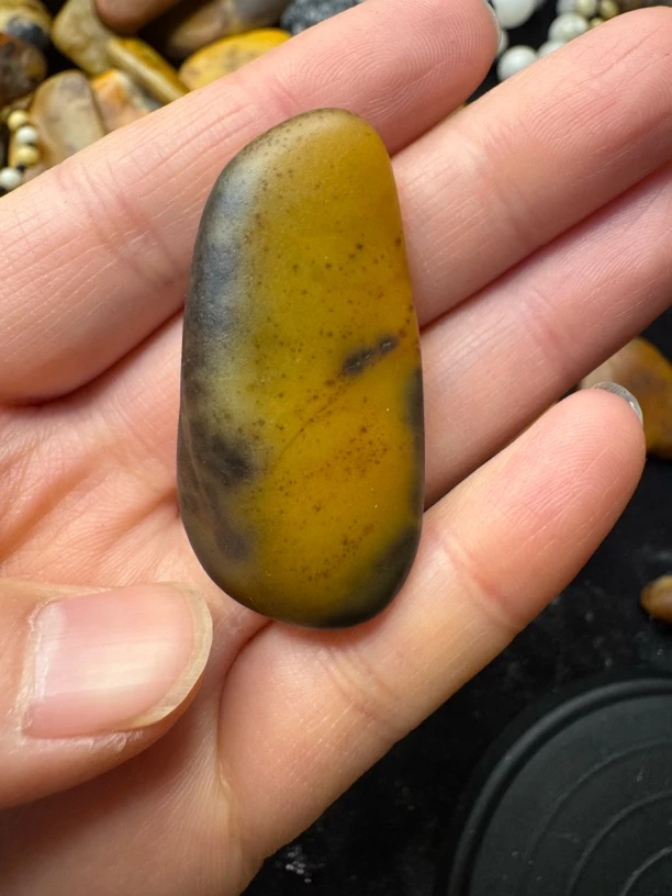 唐河石直播间选款