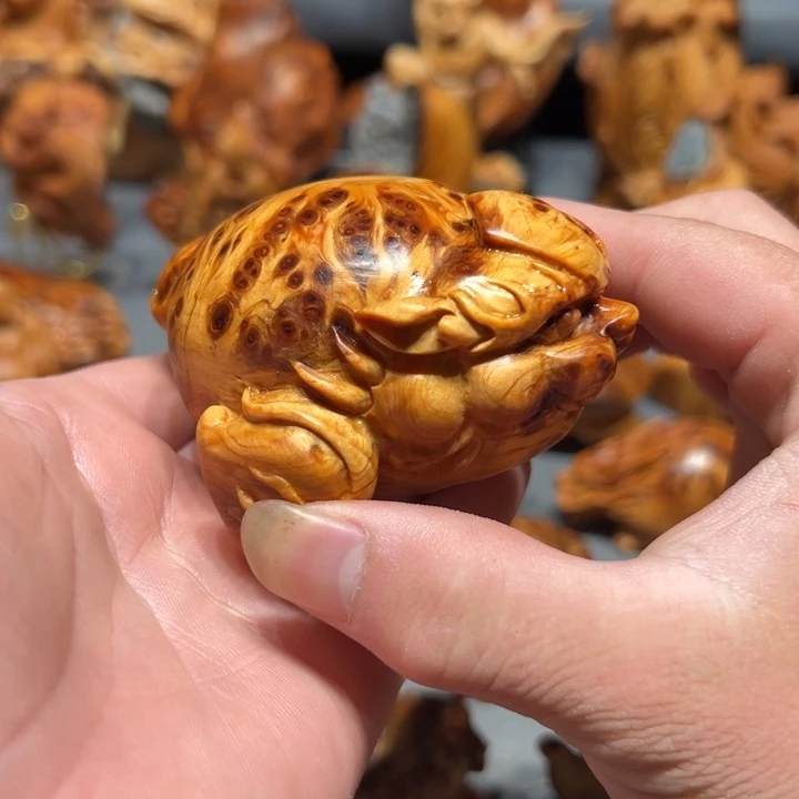 柏木（崖柏）点点关注