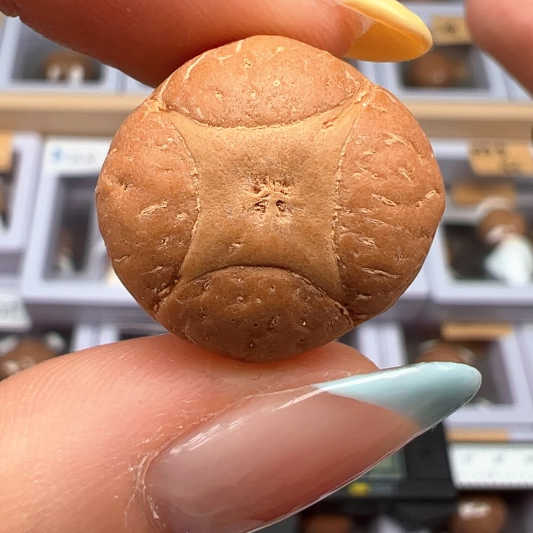 凤眼菩提吊坠麒麟福利19.8