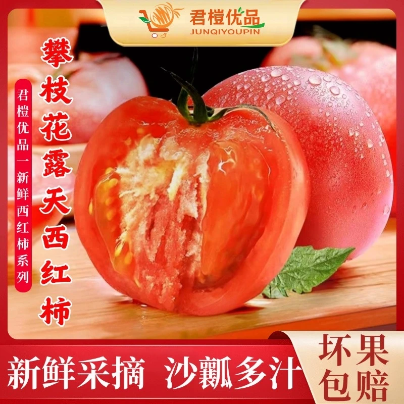 四川攀枝花沙瓤西红柿自然熟露天多汁新鲜番茄老品种生吃产地直销