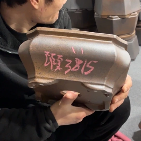 紫砂花盆Z****掌宜兴紫砂