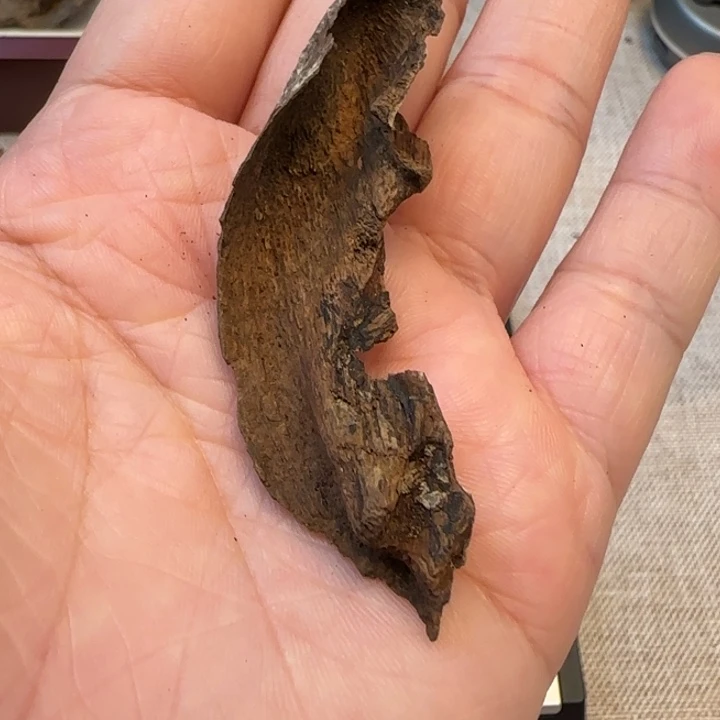 摆件沉香老海南沉水包壳1.1克