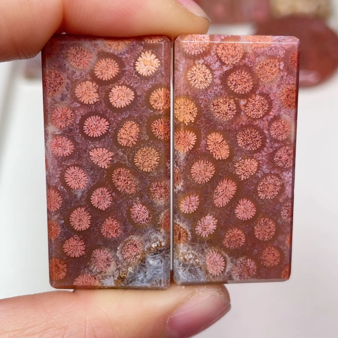 【闪购商品】未镶嵌吊坠(赠链)硅化玉