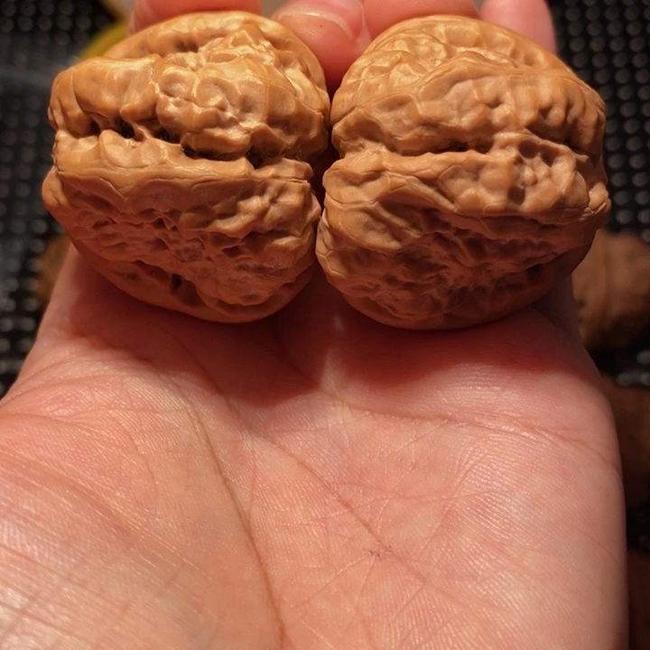 笨****文玩核桃把件四开八腿