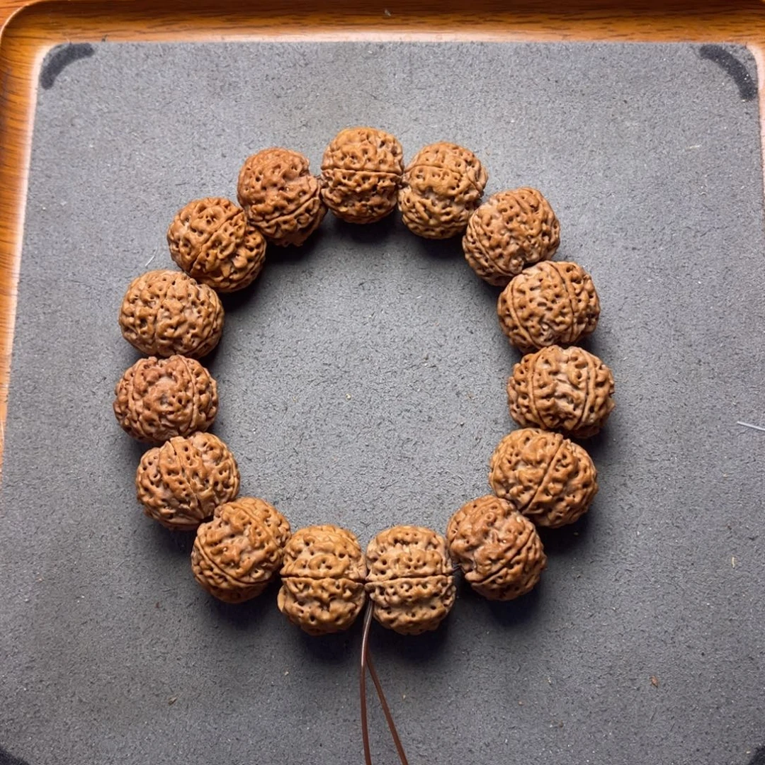 菩提22号金刚菩提蜂窝梅花20