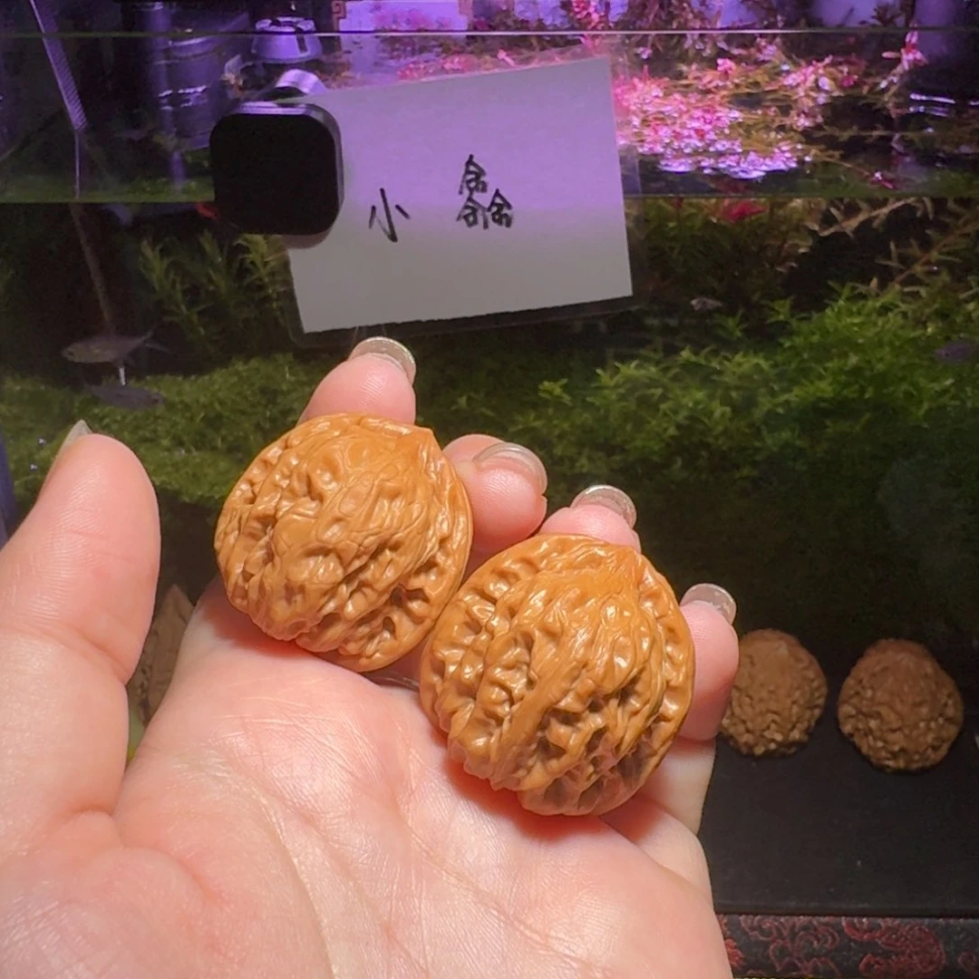 653号33胭脂野生文玩核桃