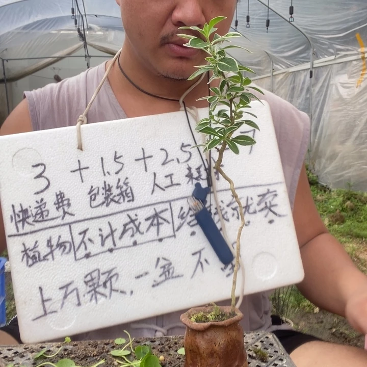 白**白退款拉黑一物一拍108