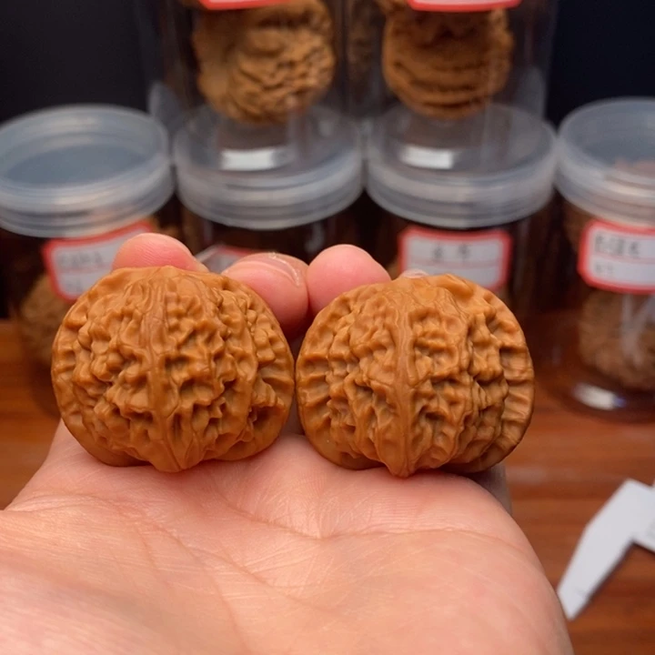 文玩核桃手串麻核桃龙眼狮子头37尺