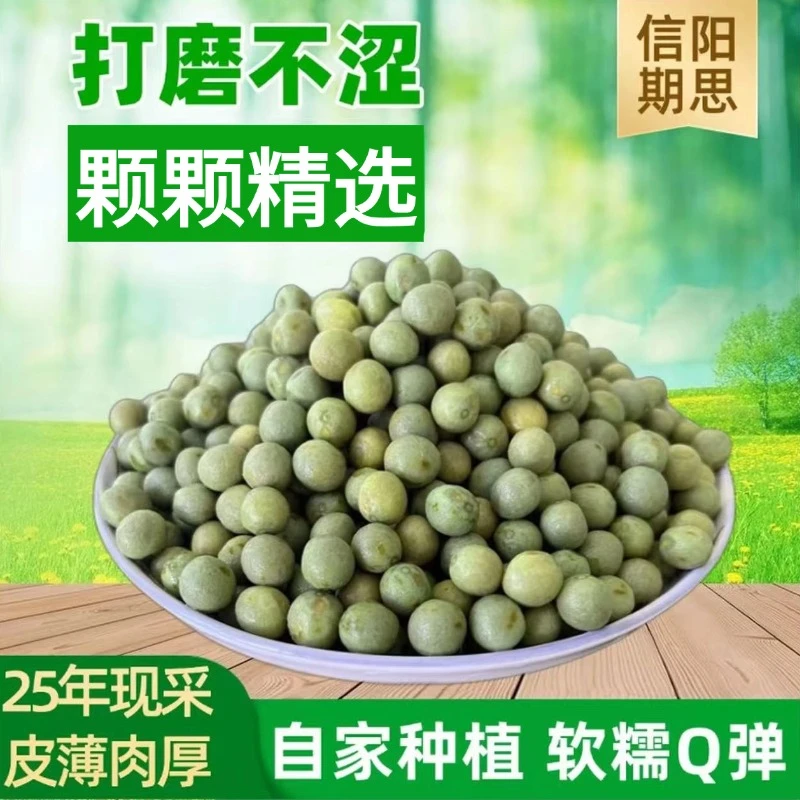 大果2025新鲜鸡头果12-14毫米高品质芡实鸡头米