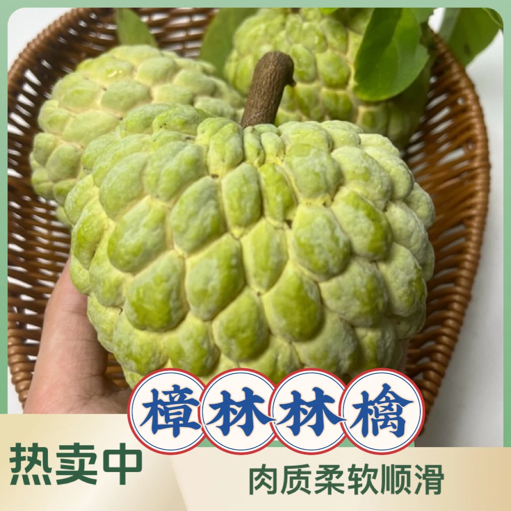 【特大】5两+正宗潮汕林檎樟林包邮释迦大果大目释迦番荔枝林檎果