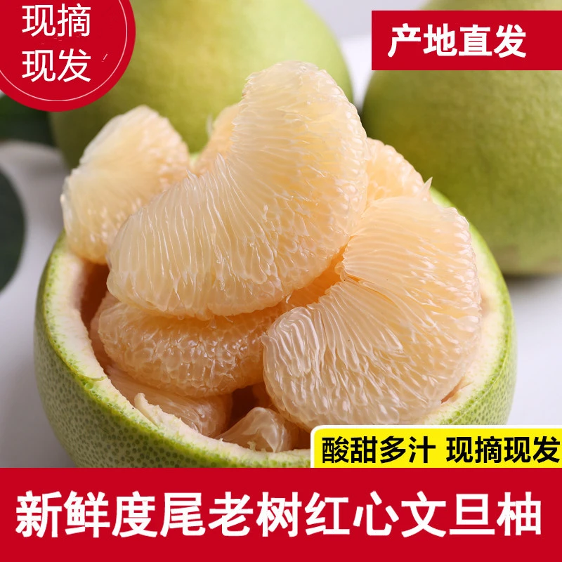 【贞贞的英雄专属】福建度尾文旦柚应季红心柚子孕妇时令新鲜水果
