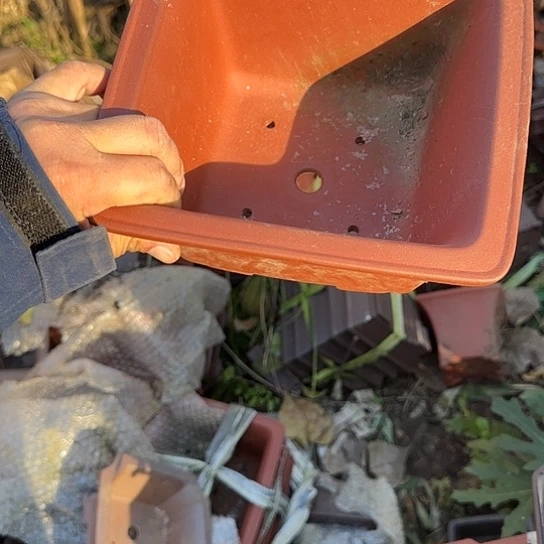 一哈来不急不快嘛亲爱你不要担心