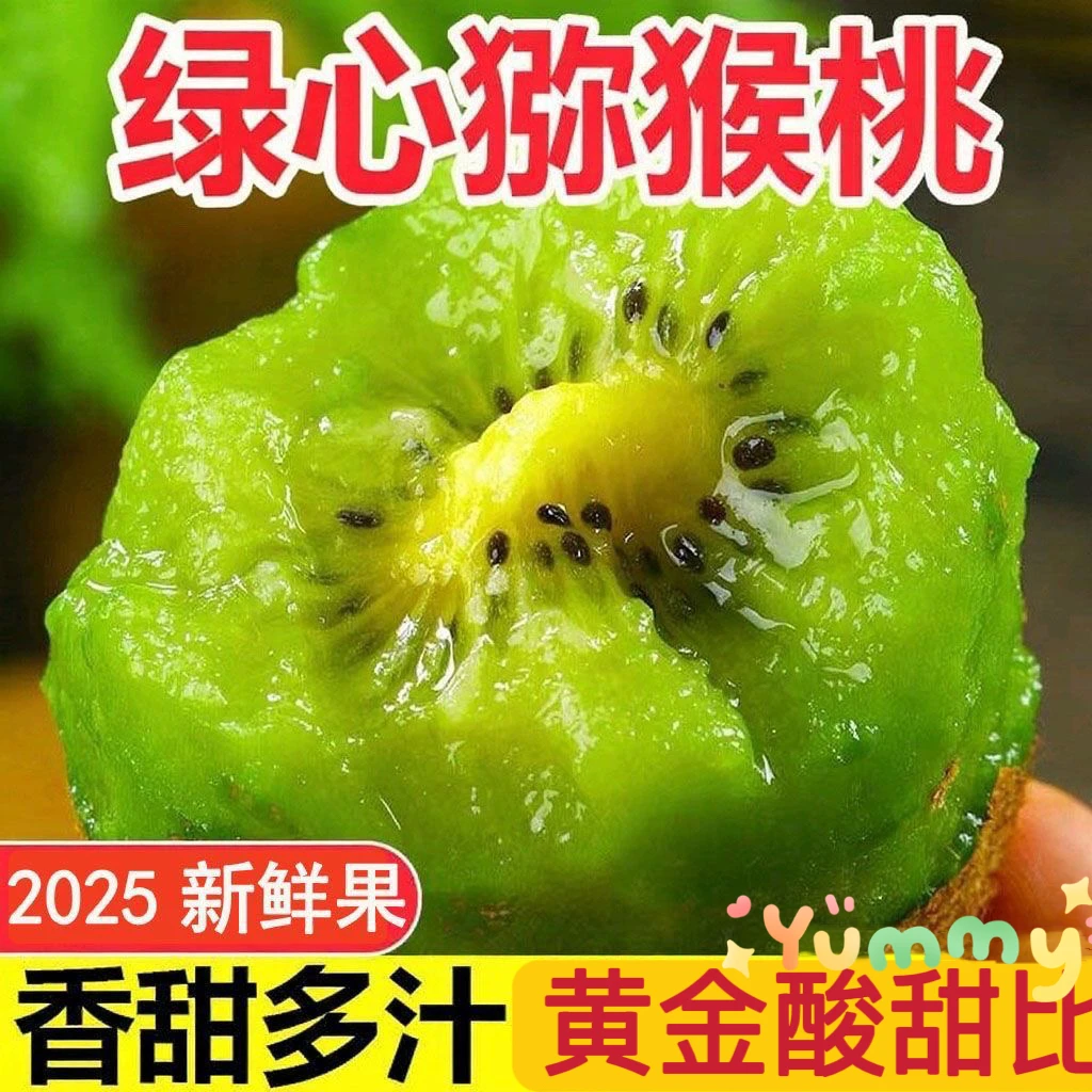 【催熟后食用】正宗绿心猕猴桃  头茬新果JJ-7