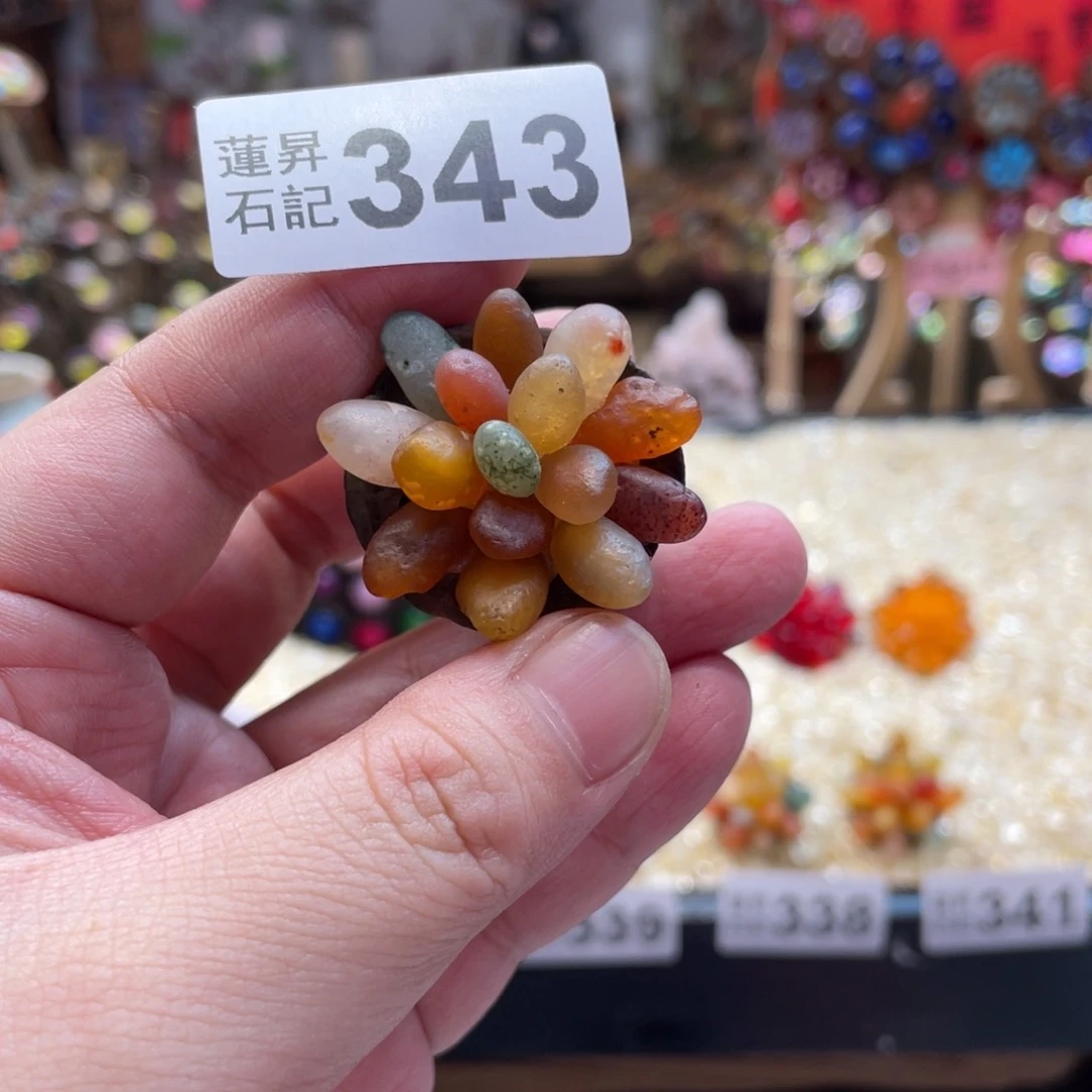 核桃木/黑胡桃（胡桃木）343