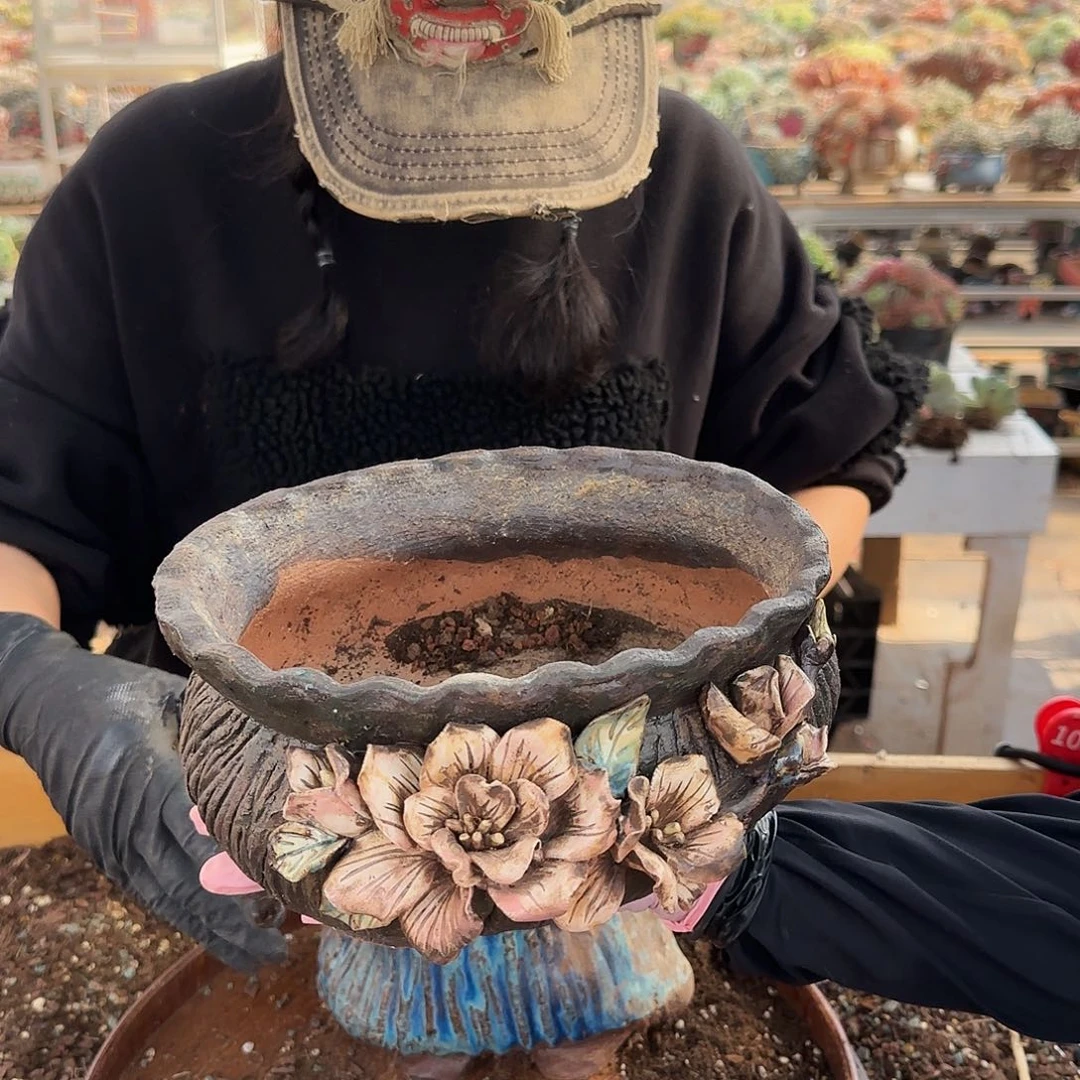 春*春夏，盆88          瑕盆