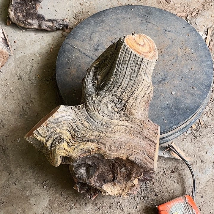 柏木张*勇崖柏崖柏崖柏