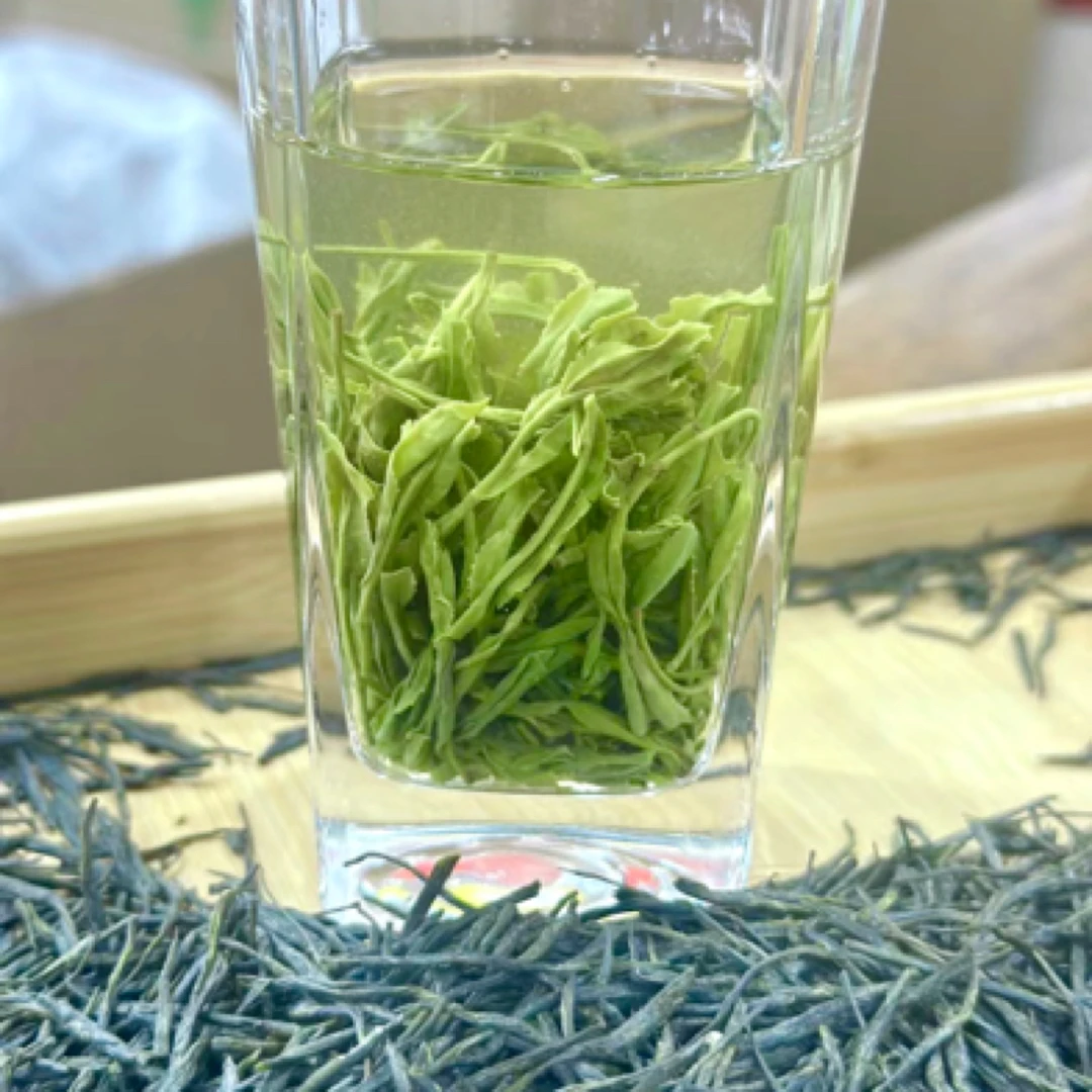渝雅新茶永川秀芽A6+毛峰栗香型茶味浓毛尖耐泡绿茶