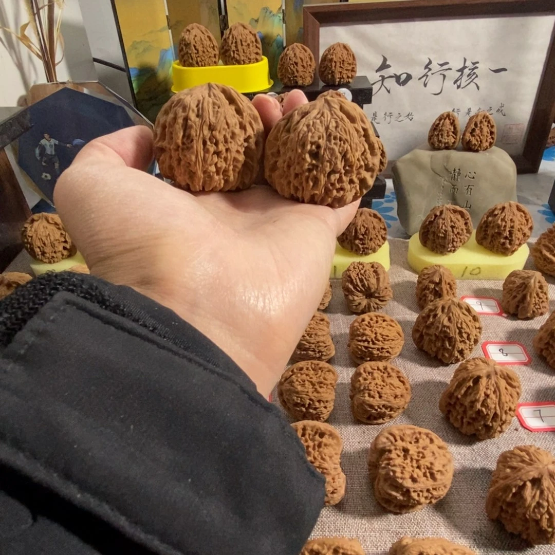 木质类48尺奥迪福利