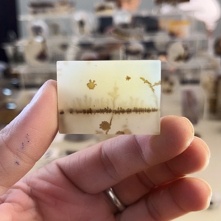 玛瑙/玉髓吊坠(不含链)未镶嵌