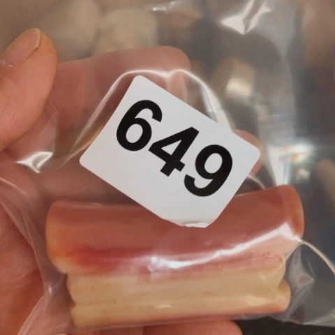 ️***度大果紫檀（缅甸花梨）