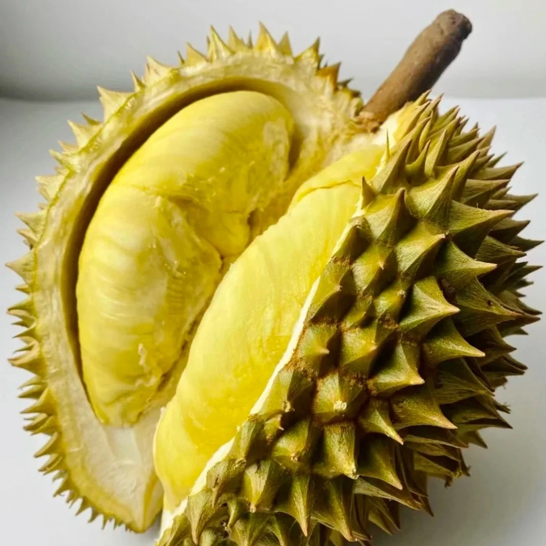 5.5-6斤泰国顶级新鲜金枕榴莲5房肉核小香糯清甜金枕泰国