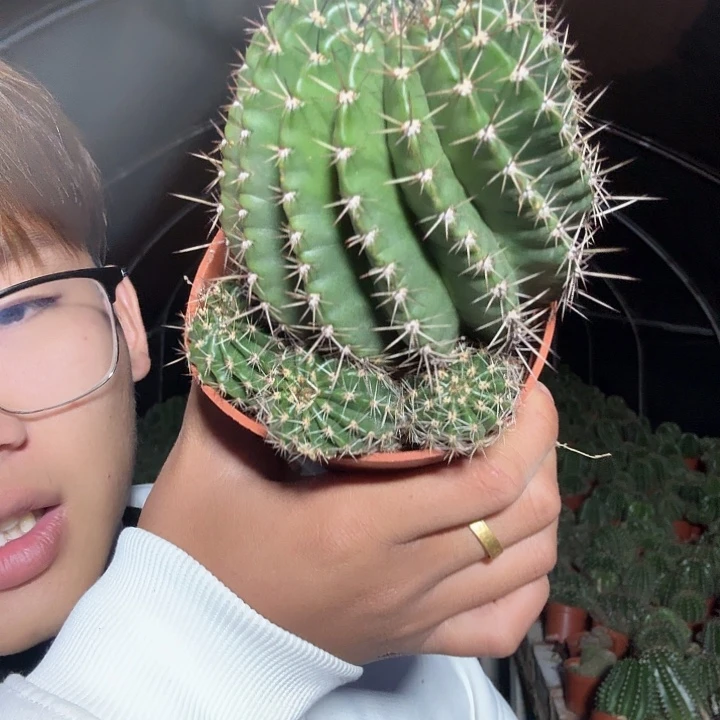 傅***钱无花朵丽花哈哈哈哈哈哈哈哈哈