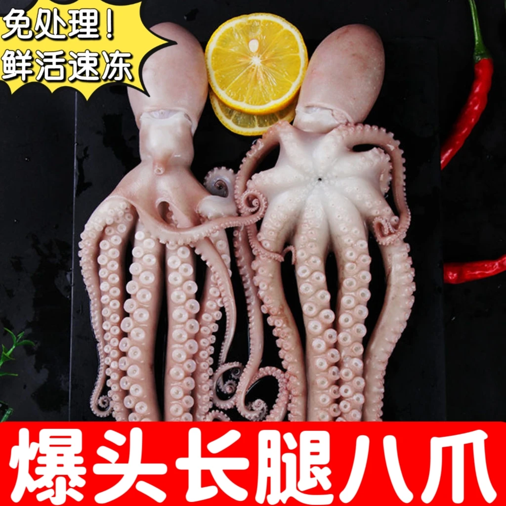 长腿大八爪鱼鲜活冷冻新鲜网红爆头八爪鱼整条章鱼捞汁海鲜商用