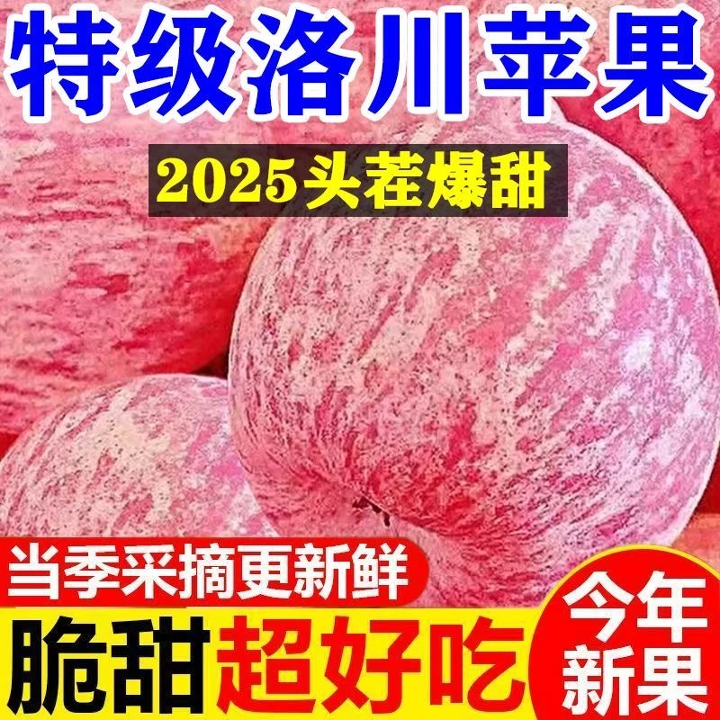 【净重5斤】正宗陕西洛川红富士苹果新鲜脆甜多汁当季水果