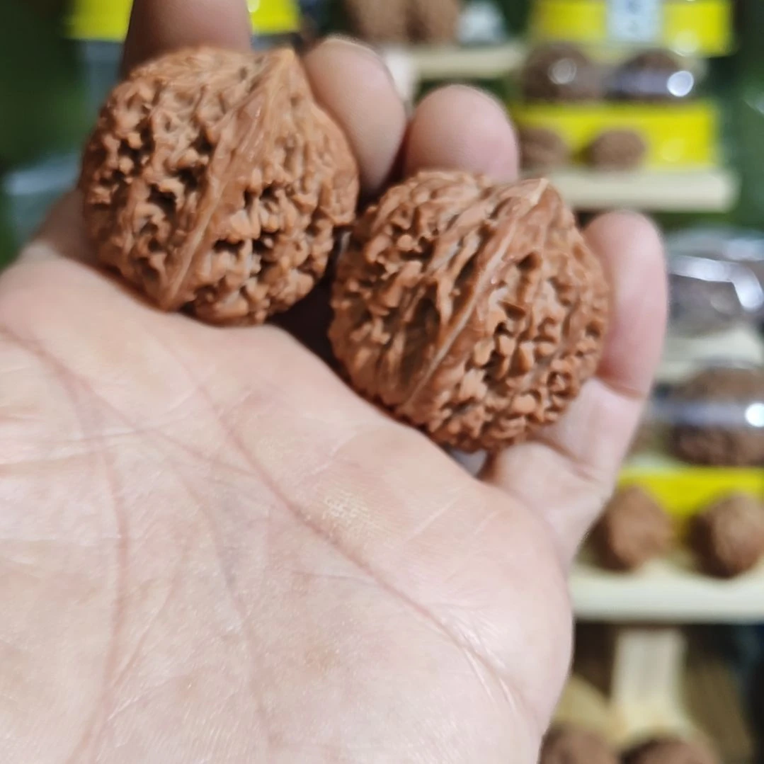 34边尺寸，大蒜头，看好下单