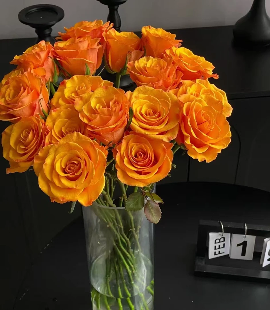 辉煌玫瑰云南昆明基地直发新鲜插花家用水养鲜花