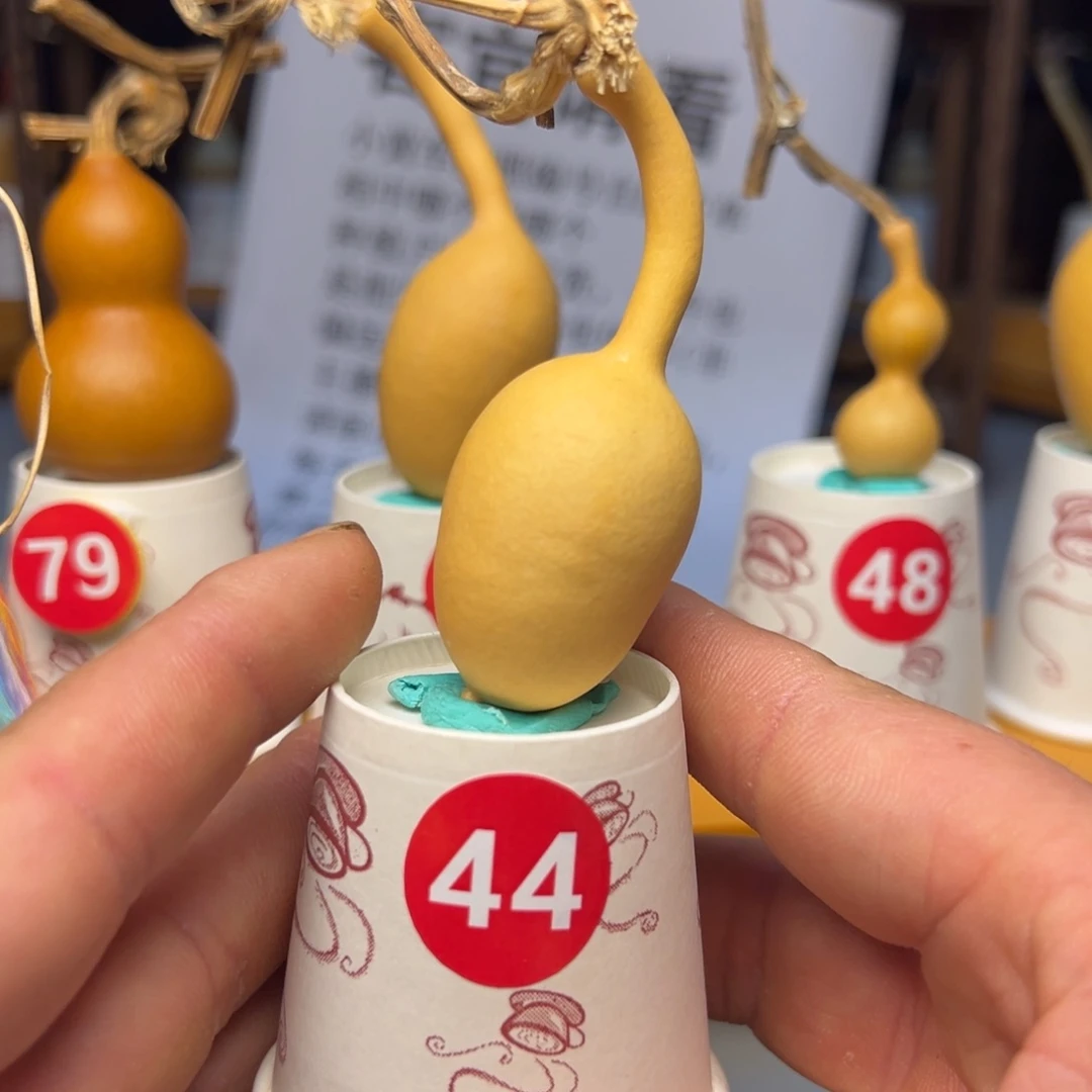 闪电购自助下单编号44