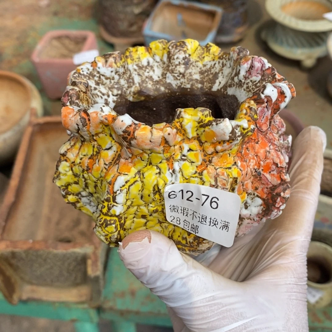 76号多肉盆口径8厘米