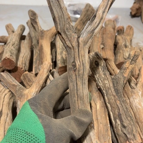 大果紫檀（缅甸花梨）N*