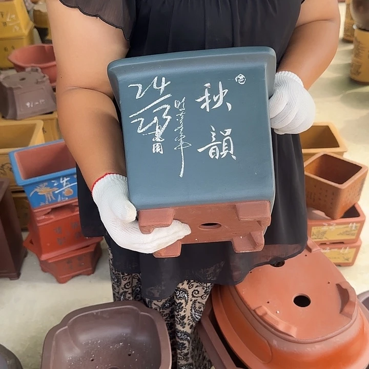 你也快回来哇好么