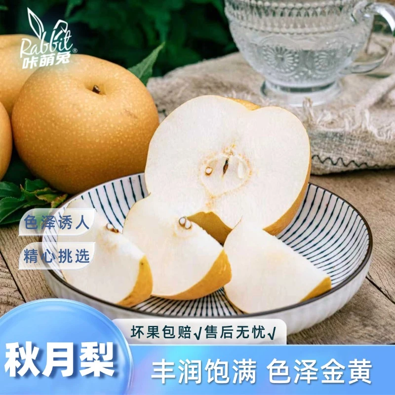 【咔萌兔】山东秋月梨4.5斤中果/大果丰润饱满色泽金黄汁水丰富彩箱