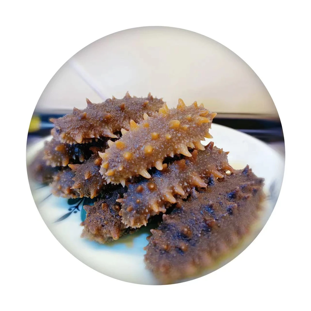 【Q弹劲道】15-17头大连辽刺参即食海参 品质保证大连发货 顺丰包邮