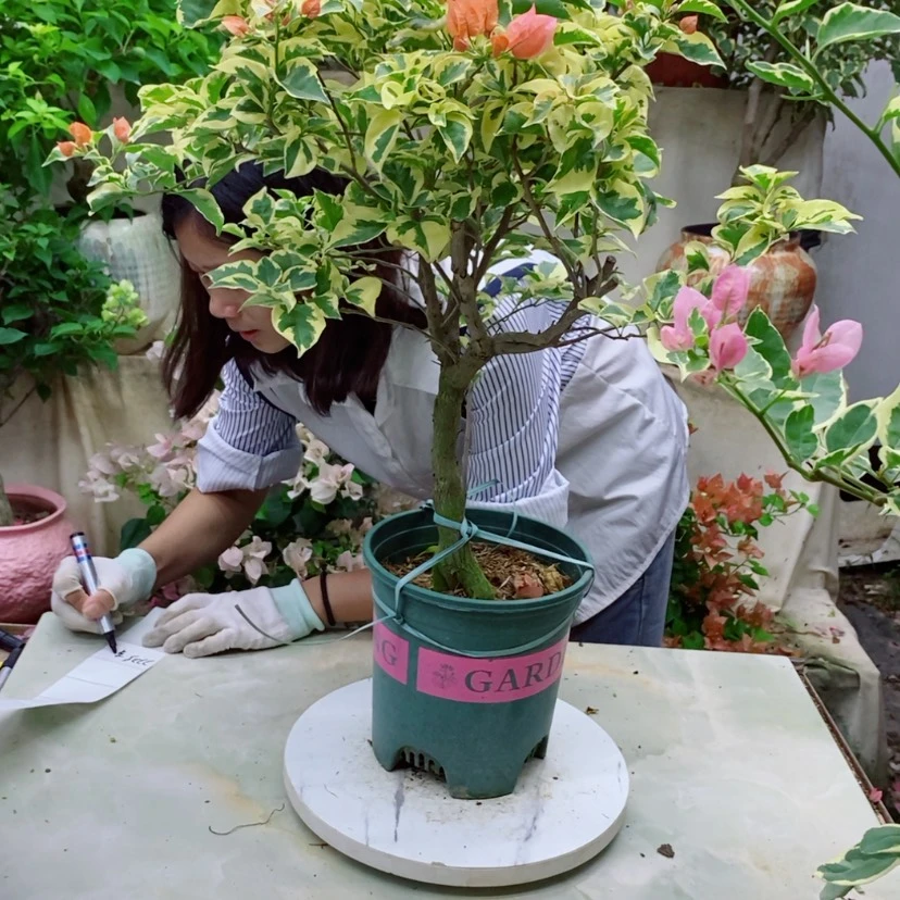 【闪购商品】完全开放
