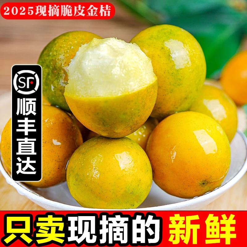 【顺丰】纯甜正宗融安脆皮金桔鲜果应季水果新鲜滑皮金桔现整箱包邮