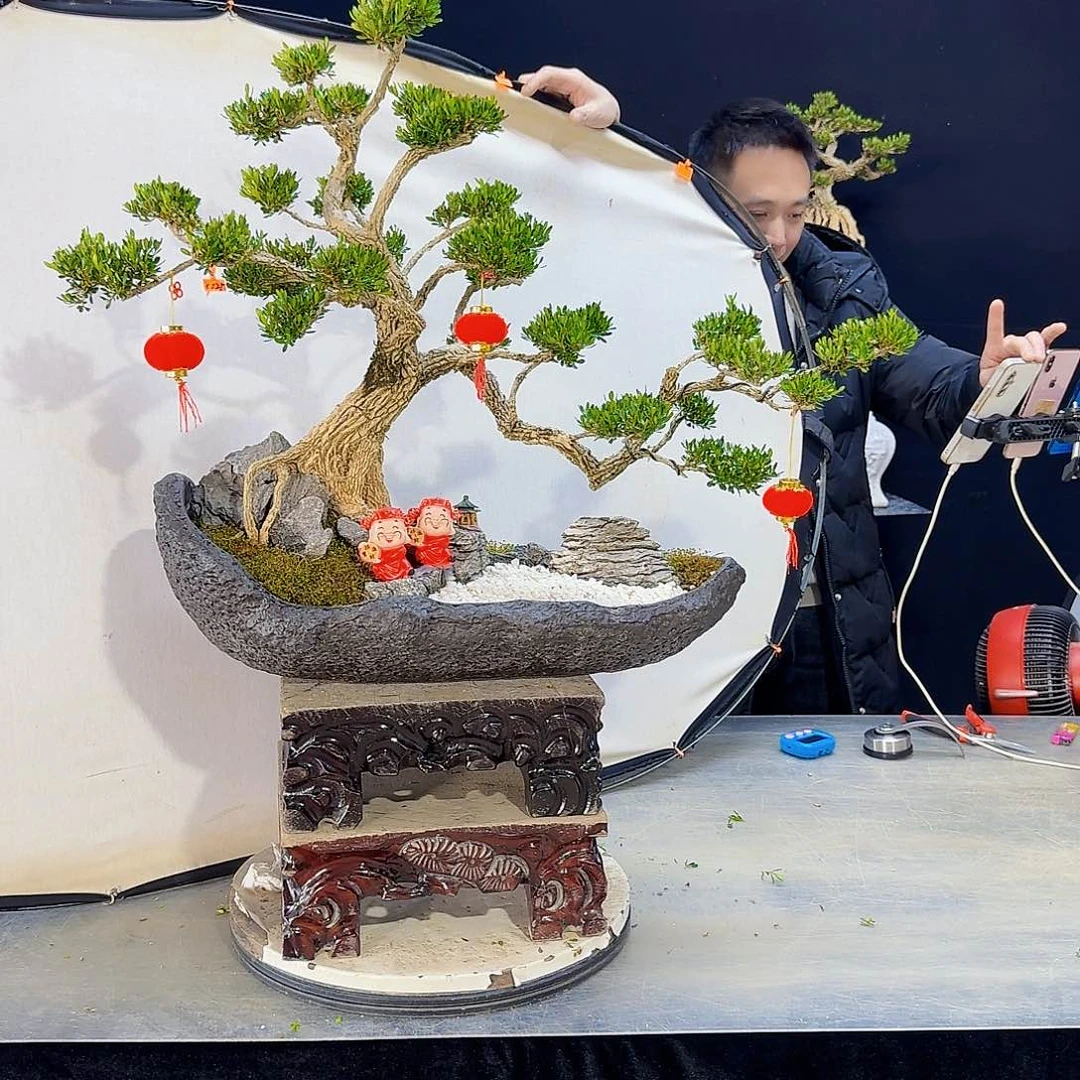 高端盆景艺术作品