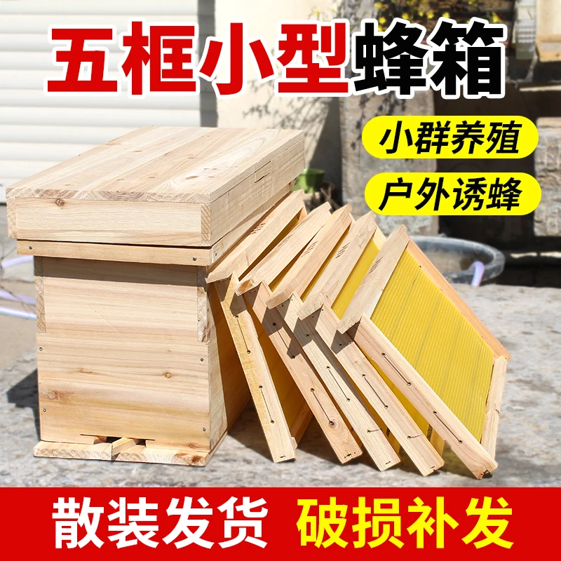 五框中蜂育王箱野外授粉诱蜂箱广式杉木蜜蜂蜂桶土蜂中蜂箱全套