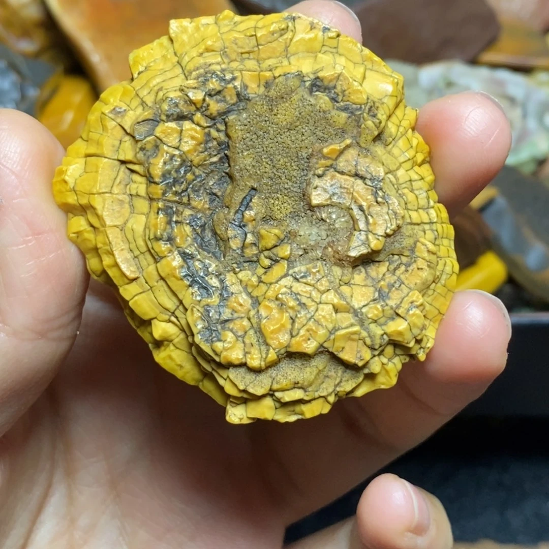 大***石石材阿拉善戈壁石