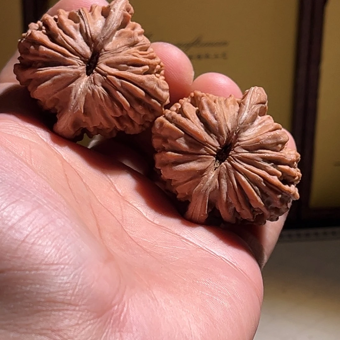 糯***圆全品41楼子。49克。全品。