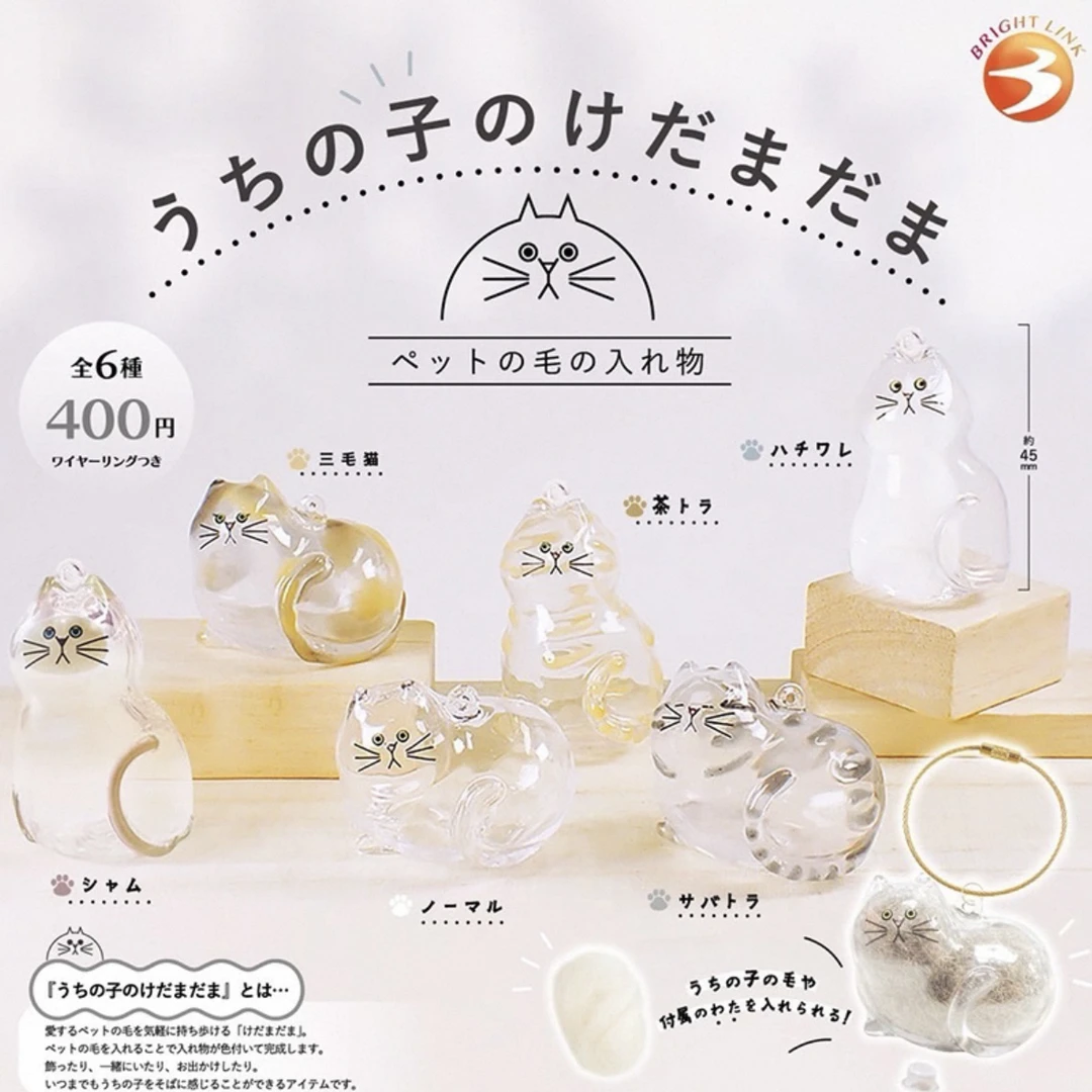 我家的毛孩子透明猫毛收纳 猫毛发存放 挂件扭蛋（一款）