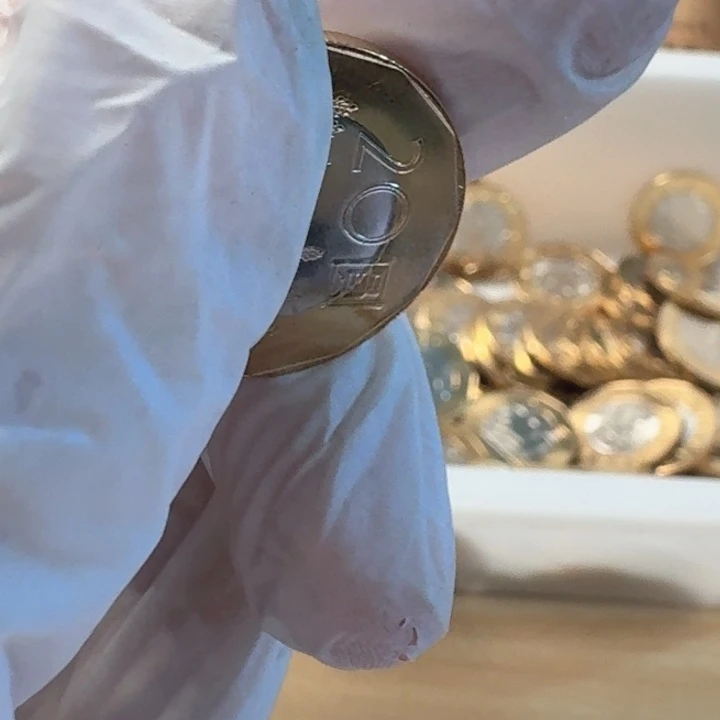 其他普通金属莫那币